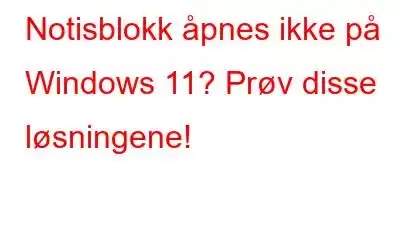 Notisblokk åpnes ikke på Windows 11? Prøv disse løsningene!