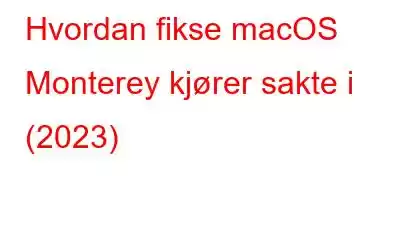 Hvordan fikse macOS Monterey kjører sakte i (2023)