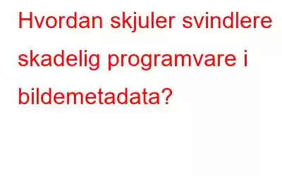 Hvordan skjuler svindlere skadelig programvare i bildemetadata?