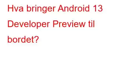 Hva bringer Android 13 Developer Preview til bordet?