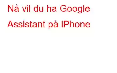 Nå vil du ha Google Assistant på iPhone