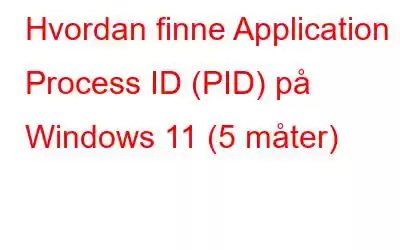 Hvordan finne Application Process ID (PID) på Windows 11 (5 måter)