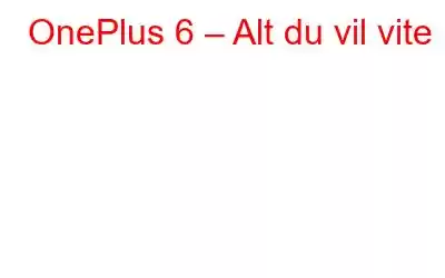 OnePlus 6 – Alt du vil vite