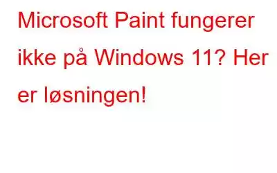 Microsoft Paint fungerer ikke på Windows 11? Her er løsningen!