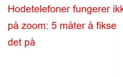 Hodetelefoner fungerer ikke på zoom: 5 måter å fikse det på