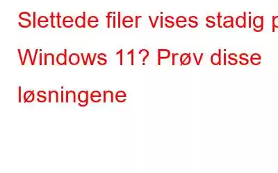 Slettede filer vises stadig på Windows 11? Prøv disse løsningene