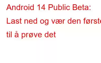 Android 14 Public Beta: Last ned og vær den første til å prøve det