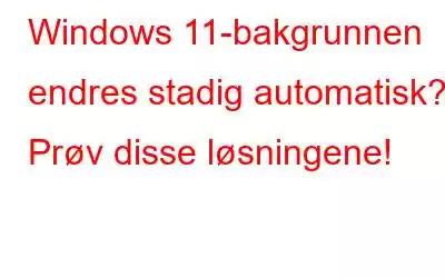 Windows 11-bakgrunnen endres stadig automatisk? Prøv disse løsningene!