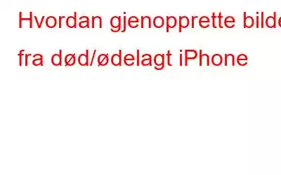 Hvordan gjenopprette bilder fra død/ødelagt iPhone