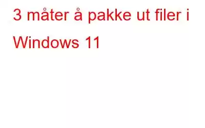 3 måter å pakke ut filer i Windows 11