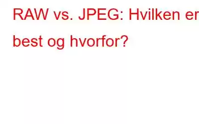 RAW vs. JPEG: Hvilken er best og hvorfor?