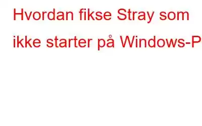 Hvordan fikse Stray som ikke starter på Windows-PC