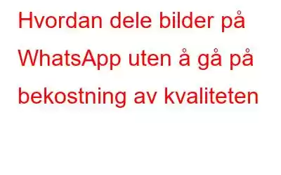 Hvordan dele bilder på WhatsApp uten å gå på bekostning av kvaliteten