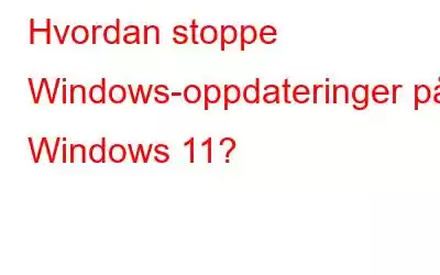 Hvordan stoppe Windows-oppdateringer på Windows 11?