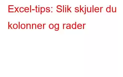 Excel-tips: Slik skjuler du kolonner og rader