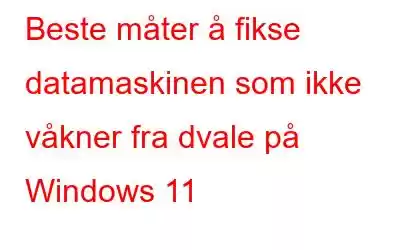 Beste måter å fikse datamaskinen som ikke våkner fra dvale på Windows 11