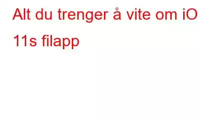 Alt du trenger å vite om iOS 11s filapp
