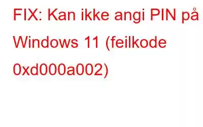 FIX: Kan ikke angi PIN på Windows 11 (feilkode 0xd000a002)