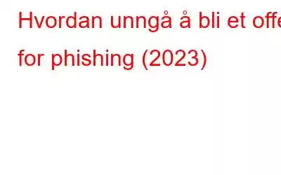 Hvordan unngå å bli et offer for phishing (2023)