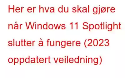 Her er hva du skal gjøre når Windows 11 Spotlight slutter å fungere (2023 oppdatert veiledning)