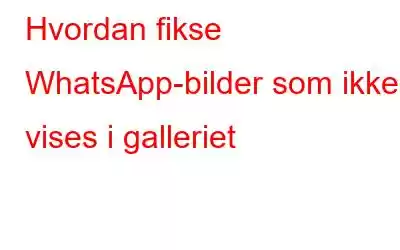 Hvordan fikse WhatsApp-bilder som ikke vises i galleriet