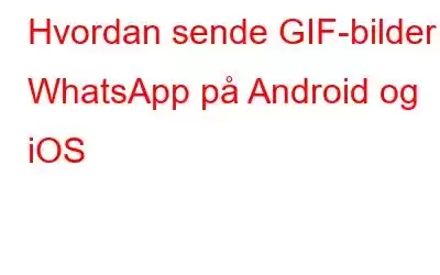 Hvordan sende GIF-bilder i WhatsApp på Android og iOS