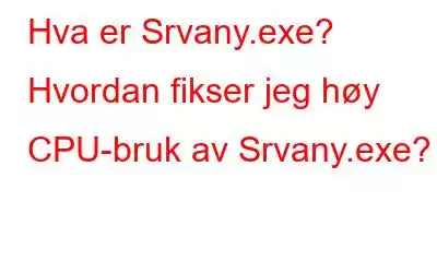 Hva er Srvany.exe? Hvordan fikser jeg høy CPU-bruk av Srvany.exe?