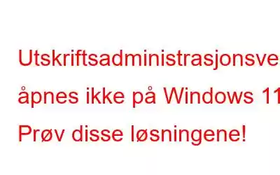 Utskriftsadministrasjonsverktøyet åpnes ikke på Windows 11? Prøv disse løsningene!