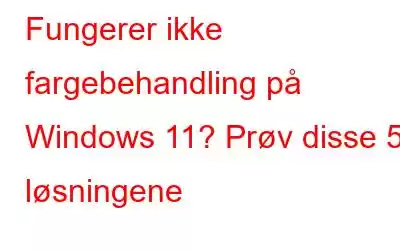 Fungerer ikke fargebehandling på Windows 11? Prøv disse 5 løsningene