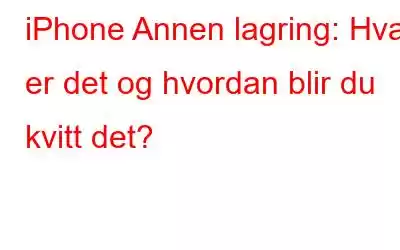 iPhone Annen lagring: Hva er det og hvordan blir du kvitt det?