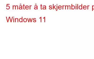 5 måter å ta skjermbilder på Windows 11