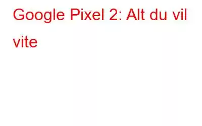 Google Pixel 2: Alt du vil vite