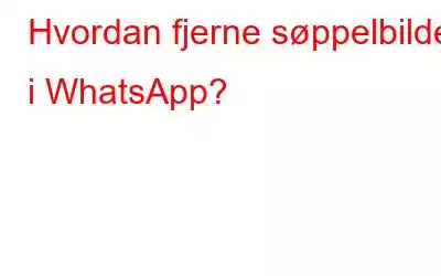 Hvordan fjerne søppelbilder i WhatsApp?