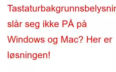 Tastaturbakgrunnsbelysning slår seg ikke PÅ på Windows og Mac? Her er løsningen!