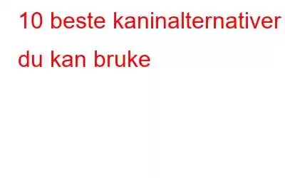 10 beste kaninalternativer du kan bruke