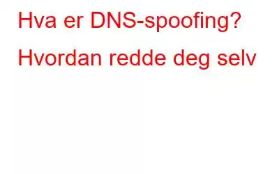 Hva er DNS-spoofing? Hvordan redde deg selv