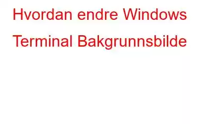 Hvordan endre Windows Terminal Bakgrunnsbilde