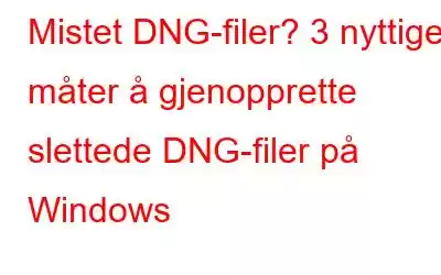 Mistet DNG-filer? 3 nyttige måter å gjenopprette slettede DNG-filer på Windows