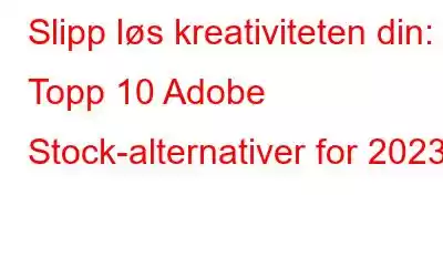 Slipp løs kreativiteten din: Topp 10 Adobe Stock-alternativer for 2023