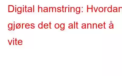 Digital hamstring: Hvordan gjøres det og alt annet å vite